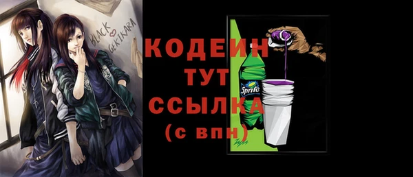 сатива Арсеньев
