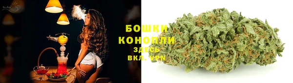 сатива Арсеньев