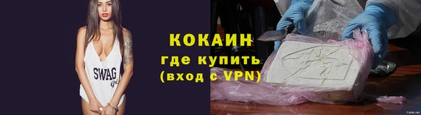 сатива Арсеньев