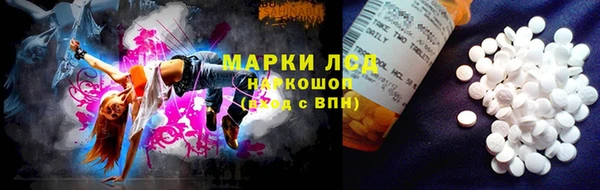 сатива Арсеньев