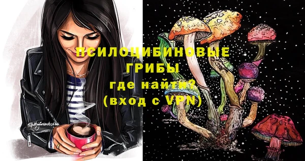 сатива Арсеньев